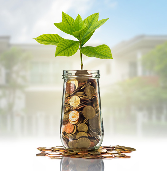 Microfinance Service Provider